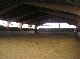 horse ranch, Uelzen, Niedersachsen
