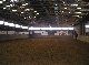 horse ranch, Uelzen, Niedersachsen